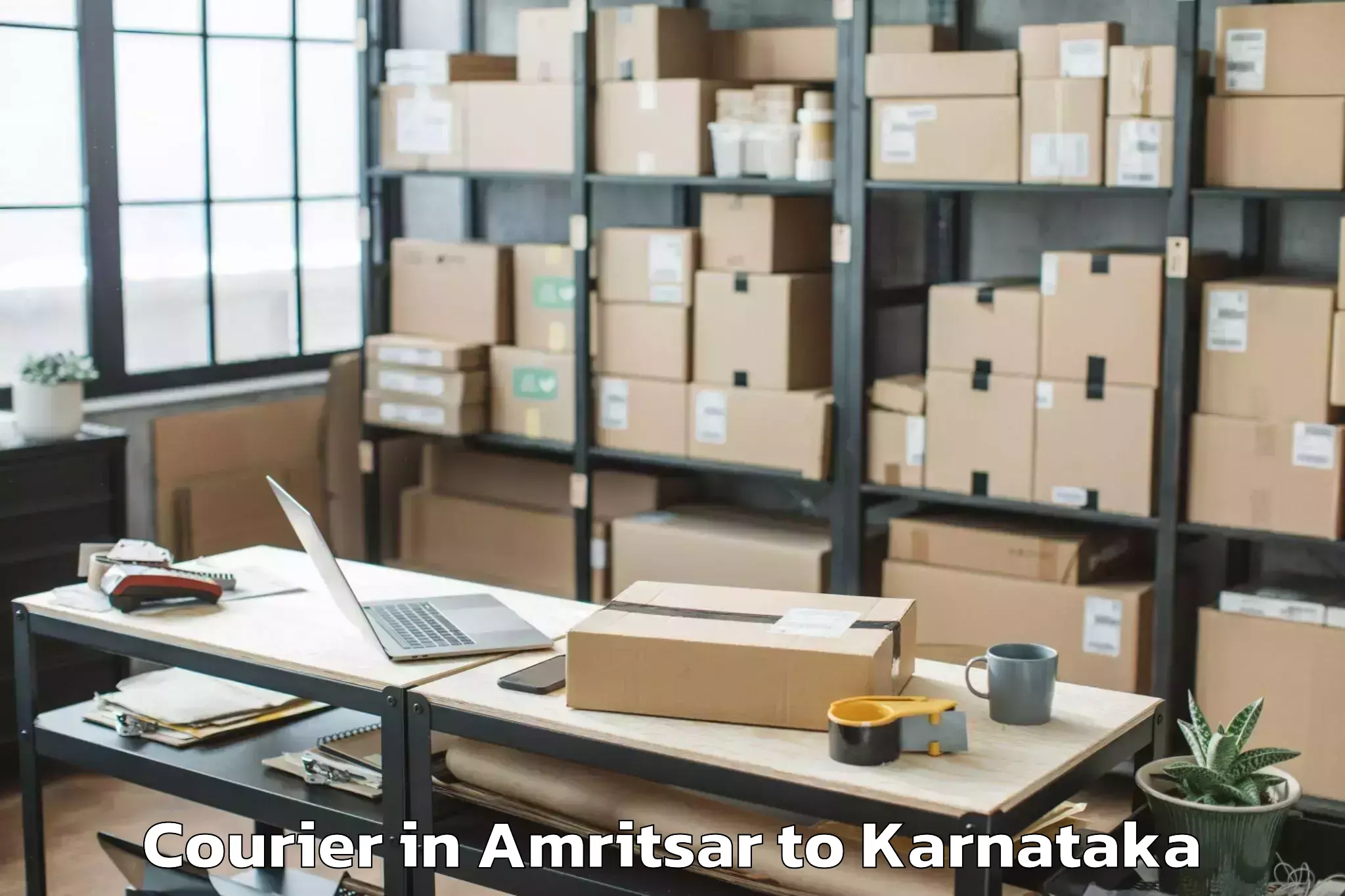 Book Amritsar to Mangalore University Mangalaga Courier